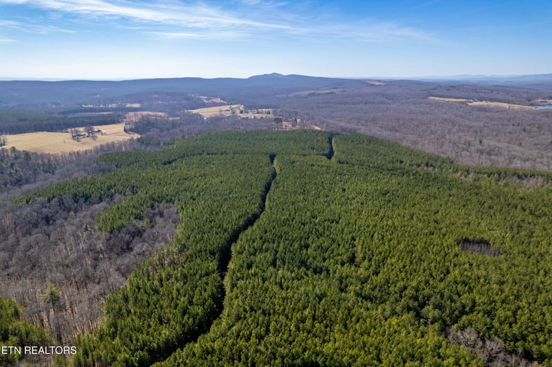 0 Airport Rd, Rockwood, TN 37854