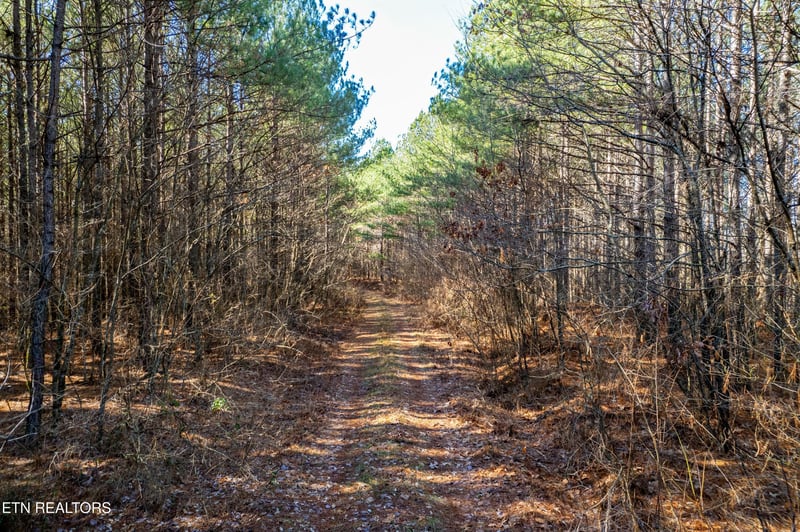0 Airport Rd, Rockwood, TN 37854