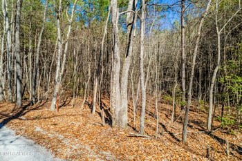 0 Airport Rd, Rockwood, TN 37854