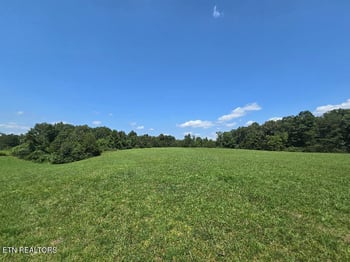 0 Al Martin Rd, Robbins, TN 37852
