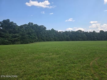 0 Al Martin Rd, Robbins, TN 37852