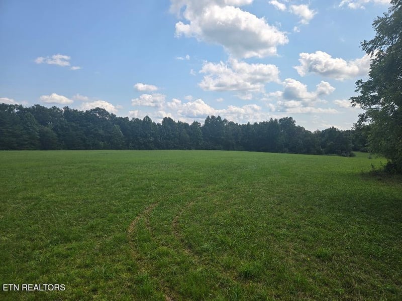 0 Al Martin Rd, Robbins, TN 37852