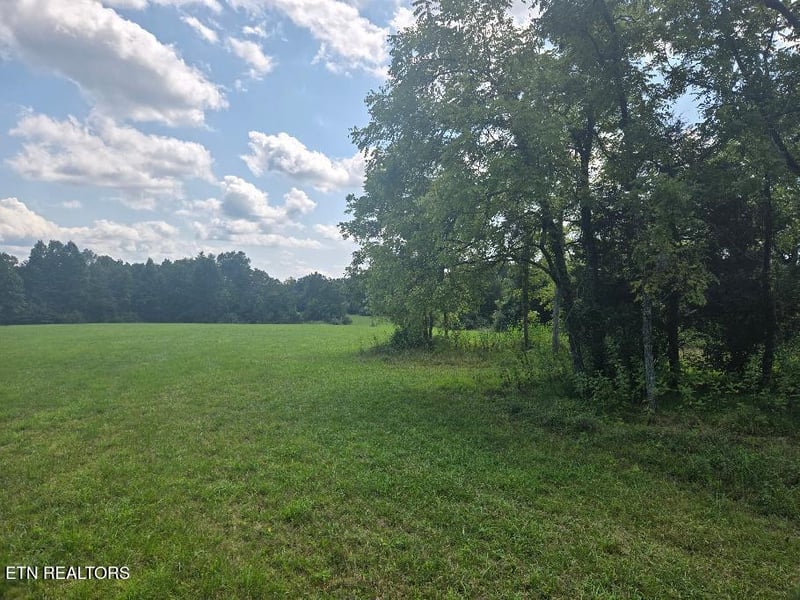 0 Al Martin Rd, Robbins, TN 37852