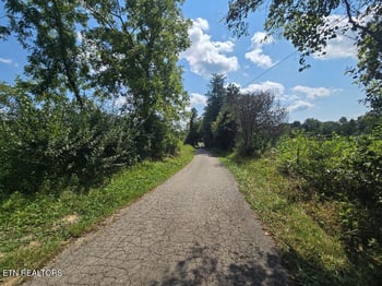 0 Al Martin Rd, Robbins, TN 37852