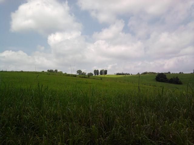 0 Alaina Dr, Sweetwater, TN 37874