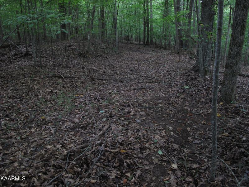 0 Alder Springs Rd, Lafollette, TN 37766