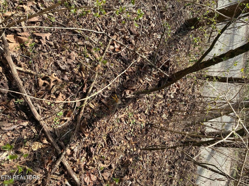 0 Alex Bales Rd Lot 1 Rd, Kodak, TN 37764