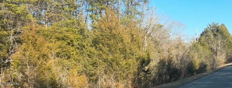 0 Alex Bales Rd Lot 1 Rd, Kodak, TN 37764