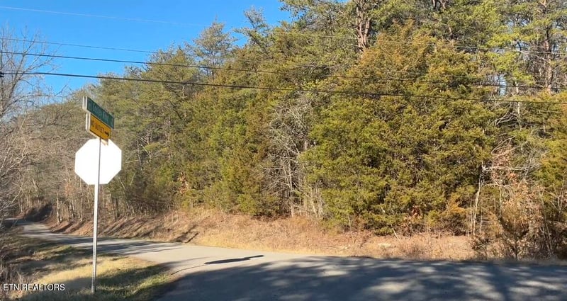 0 Alex Bales Rd Lot 1 Rd, Kodak, TN 37764
