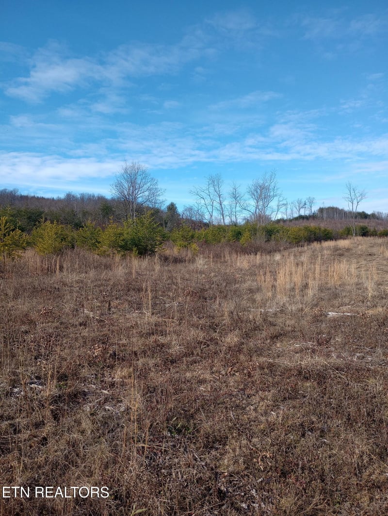 0 Allen Burgess Rd, Crossville, TN 38572