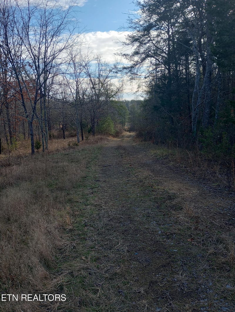 0 Allen Burgess Rd, Crossville, TN 38572