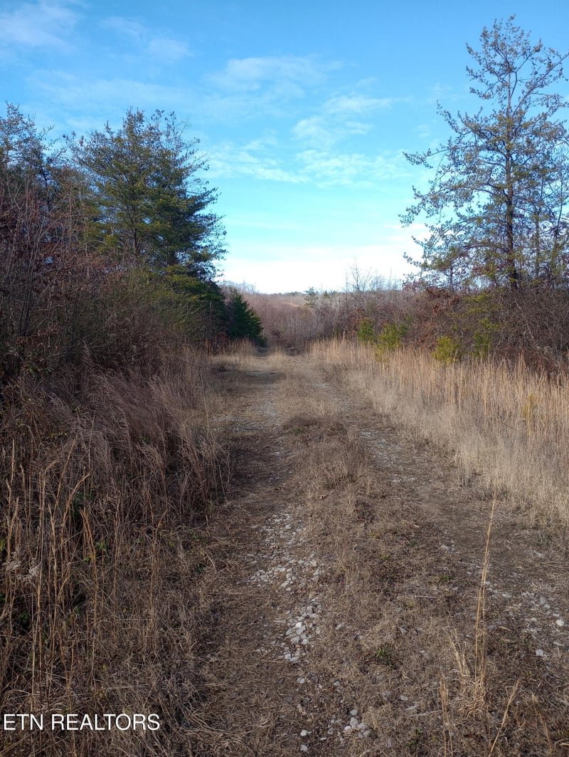 0 Allen Burgess Rd, Crossville, TN 38572