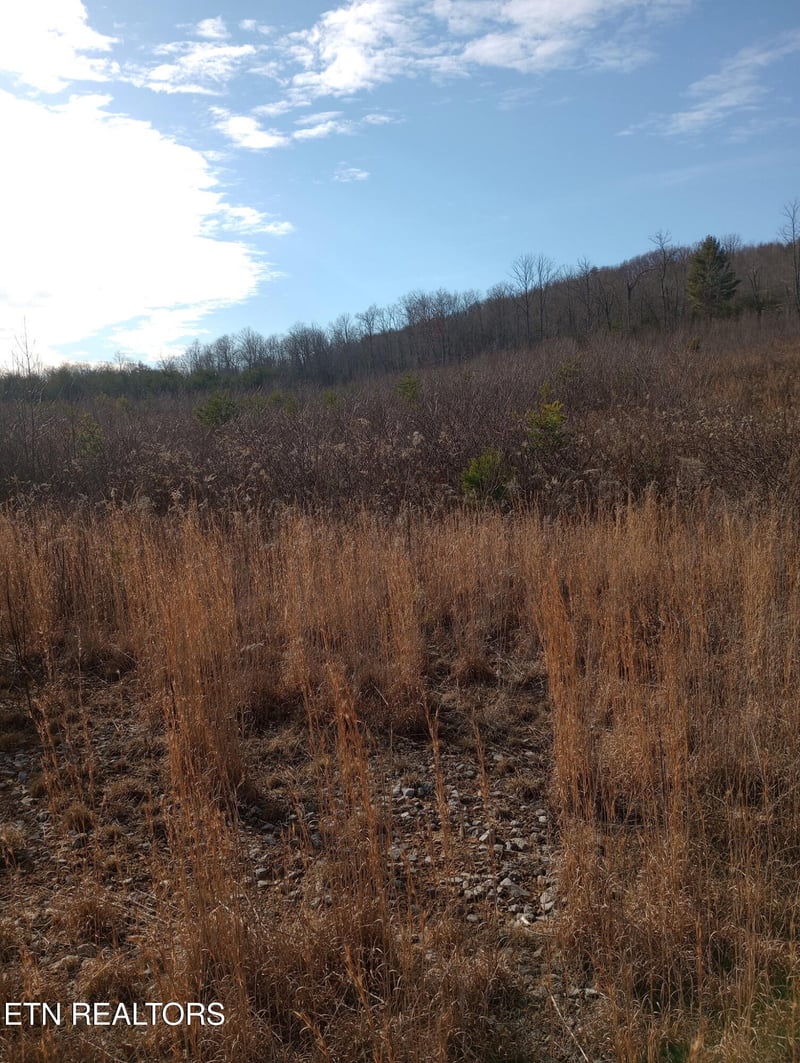 0 Allen Burgess Rd, Crossville, TN 38572