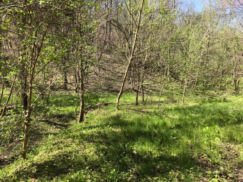 0 Allen Way, Sevierville, TN 37862