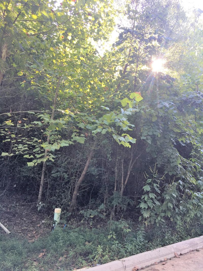 0 Alpine Village Way, Pigeon Forge, TN 37863