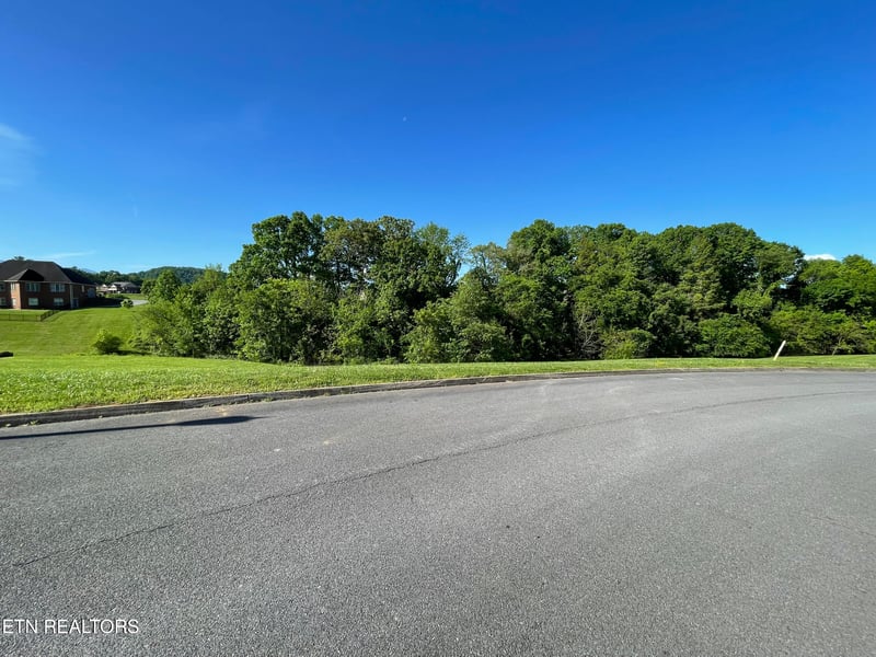 0 Alum Cave Cv, Sevierville, TN 37862