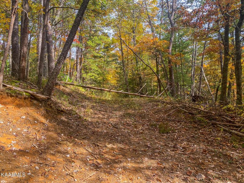 0 Amarlee Way #Tr2, Sevierville, TN 37876