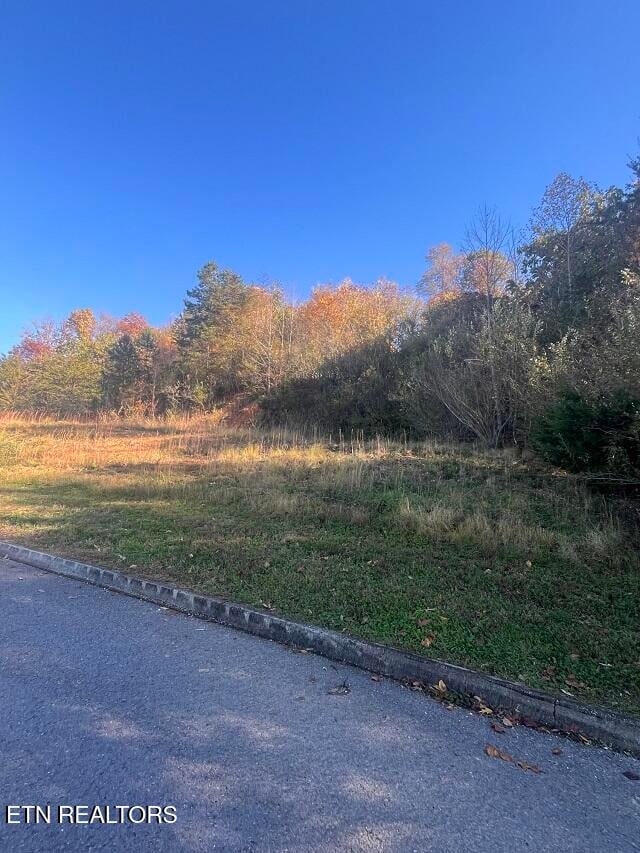 0 Anchor Ln, Andersonville, TN 37705