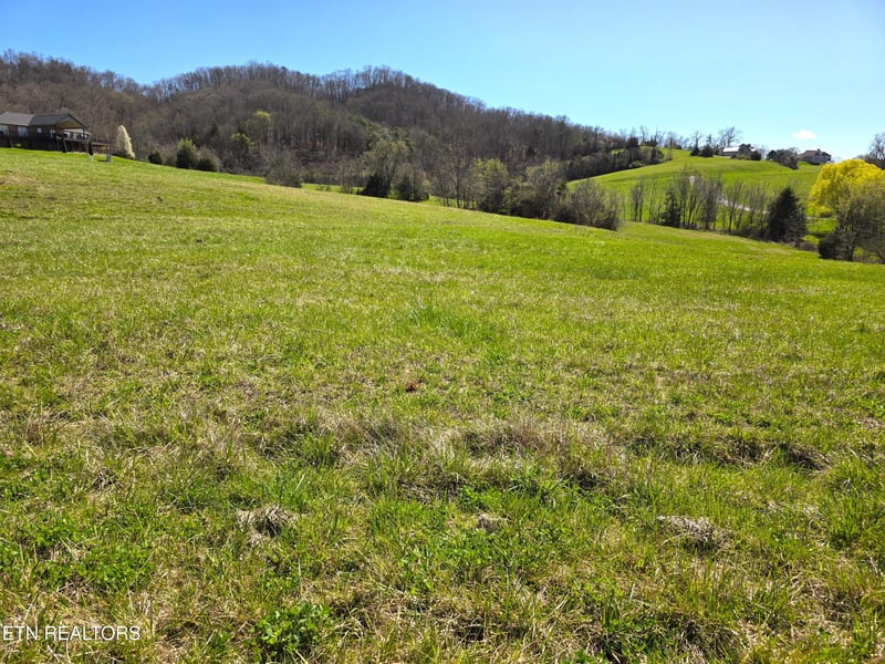 0 Anchor Pl, Sharps Chapel, TN 37866