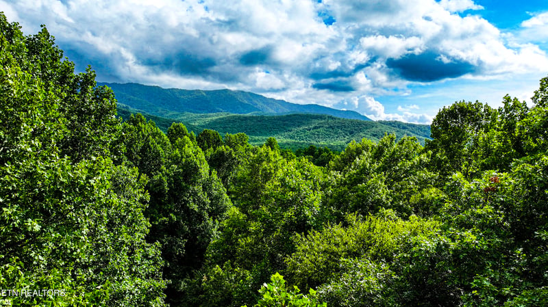 0 Angie Ln, Gatlinburg, TN 37738