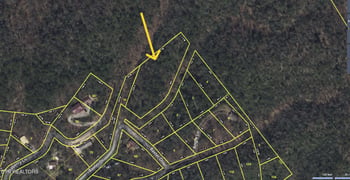 0 Angie Ln, Gatlinburg, TN 37738