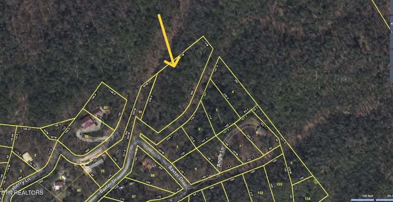 0 Angie Ln, Gatlinburg, TN 37738