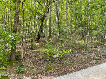 0 Anna Laura Ln, Rockwood, TN 37854