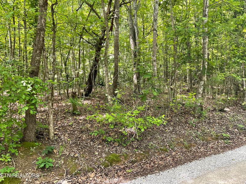 0 Anna Laura Ln, Rockwood, TN 37854