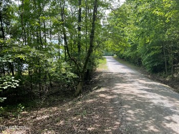 0 Anna Laura Ln, Rockwood, TN 37854