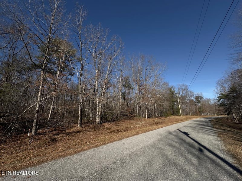 0 Anne Rd, Monterey, TN 38574