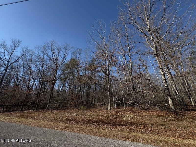 0 Anne Rd, Monterey, TN 38574