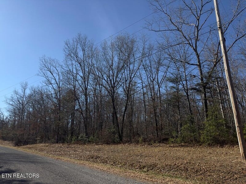 0 Anne Rd, Monterey, TN 38574