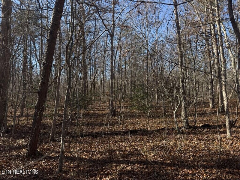 0 Anne Rd, Monterey, TN 38574