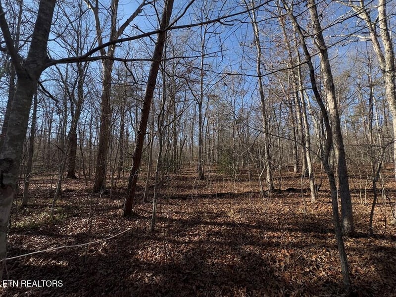 0 Anne Rd, Monterey, TN 38574