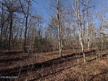 0 Anne Rd, Monterey, TN 38574