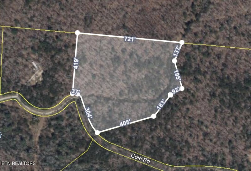 0 Anthony Rd, Deer Lodge, TN 37726