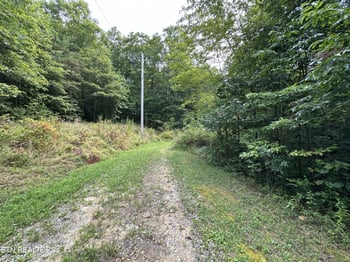 0 Anthony Rd, Deer Lodge, TN 37726