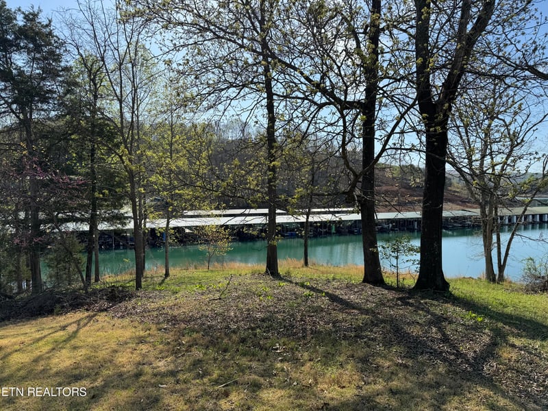 0 Antlers Way, Lafollette, TN 37766