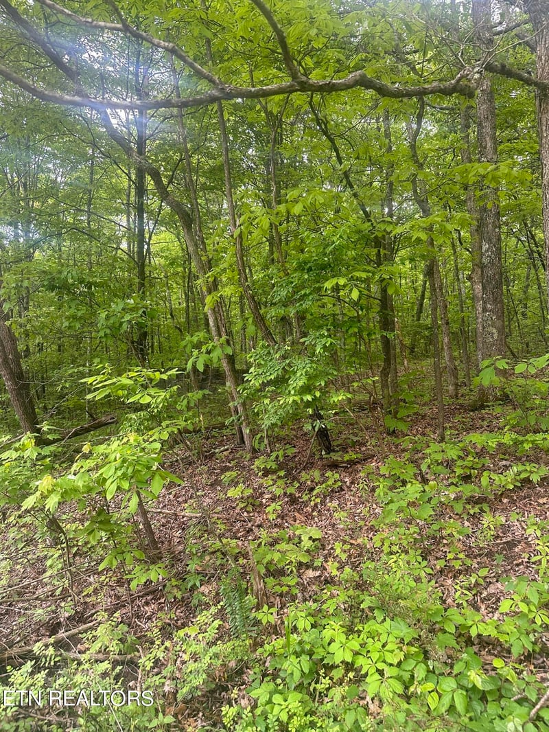 0 Applewood Dr, Crab Orchard, TN 37723