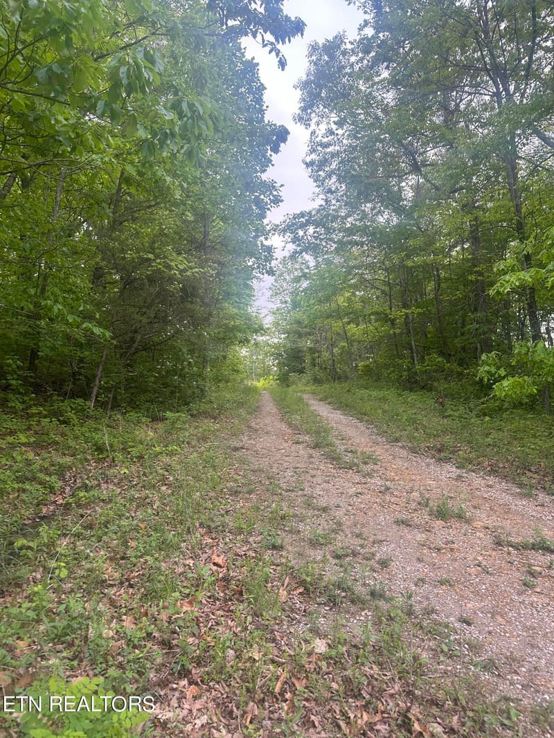 0 Applewood Dr, Crab Orchard, TN 37723