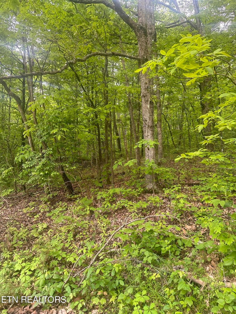 0 Applewood Dr, Crab Orchard, TN 37723
