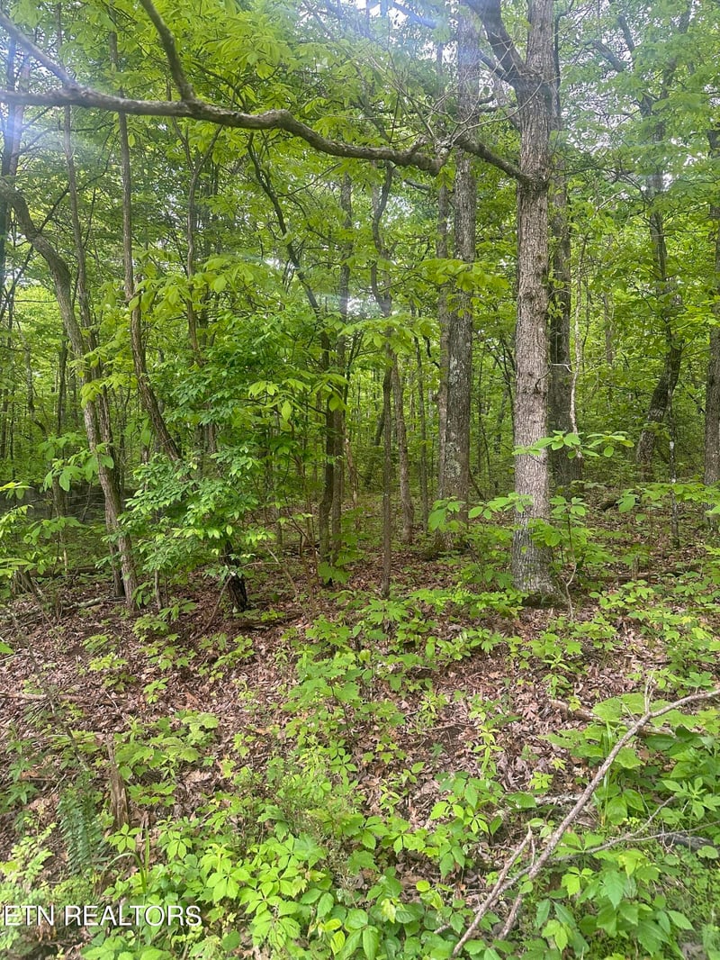 0 Applewood Dr, Crab Orchard, TN 37723