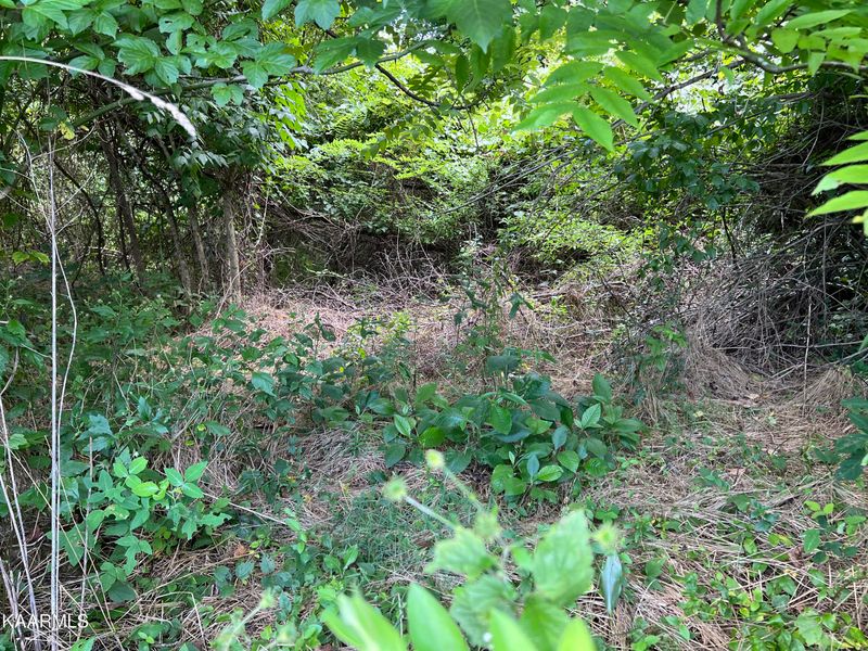 0 April Ln, Lafollette, TN 37766