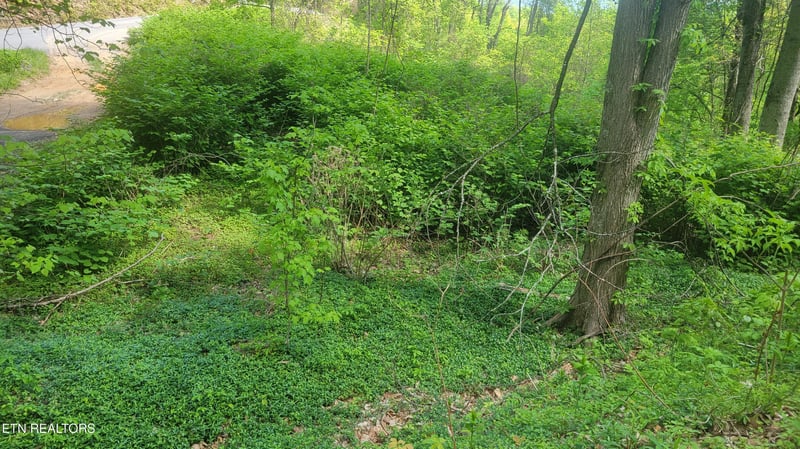 0 Arbon Dr #66, Gatlinburg, TN 37738