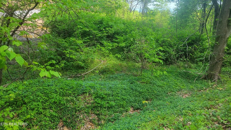 0 Arbon Dr #66, Gatlinburg, TN 37738