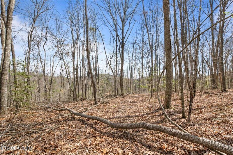 0 Arial Ln, Lafollette, TN 37766
