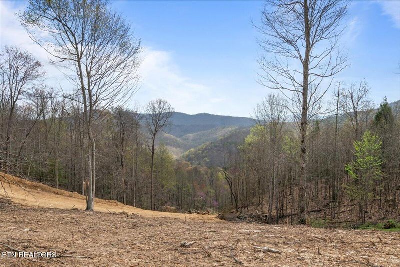 0 Arial Ln, Lafollette, TN 37766