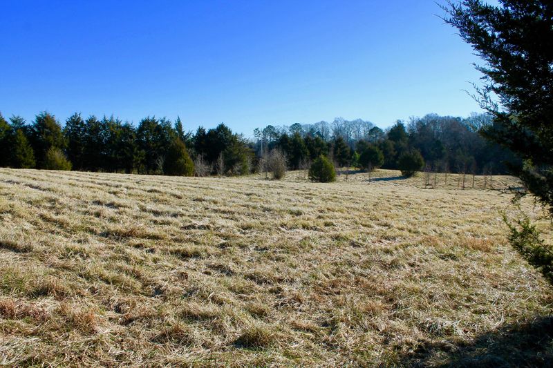 0 Armstrong Rd, Englewood, TN 37329