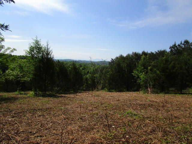 0 Arnold Ln, Mascot, TN 37806