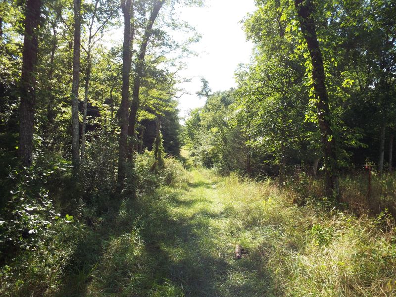 0 Arnold Potter Rd, Lancing, TN 37770